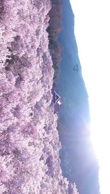 苏州工业园区阳浦路社区开展安全知识宣讲